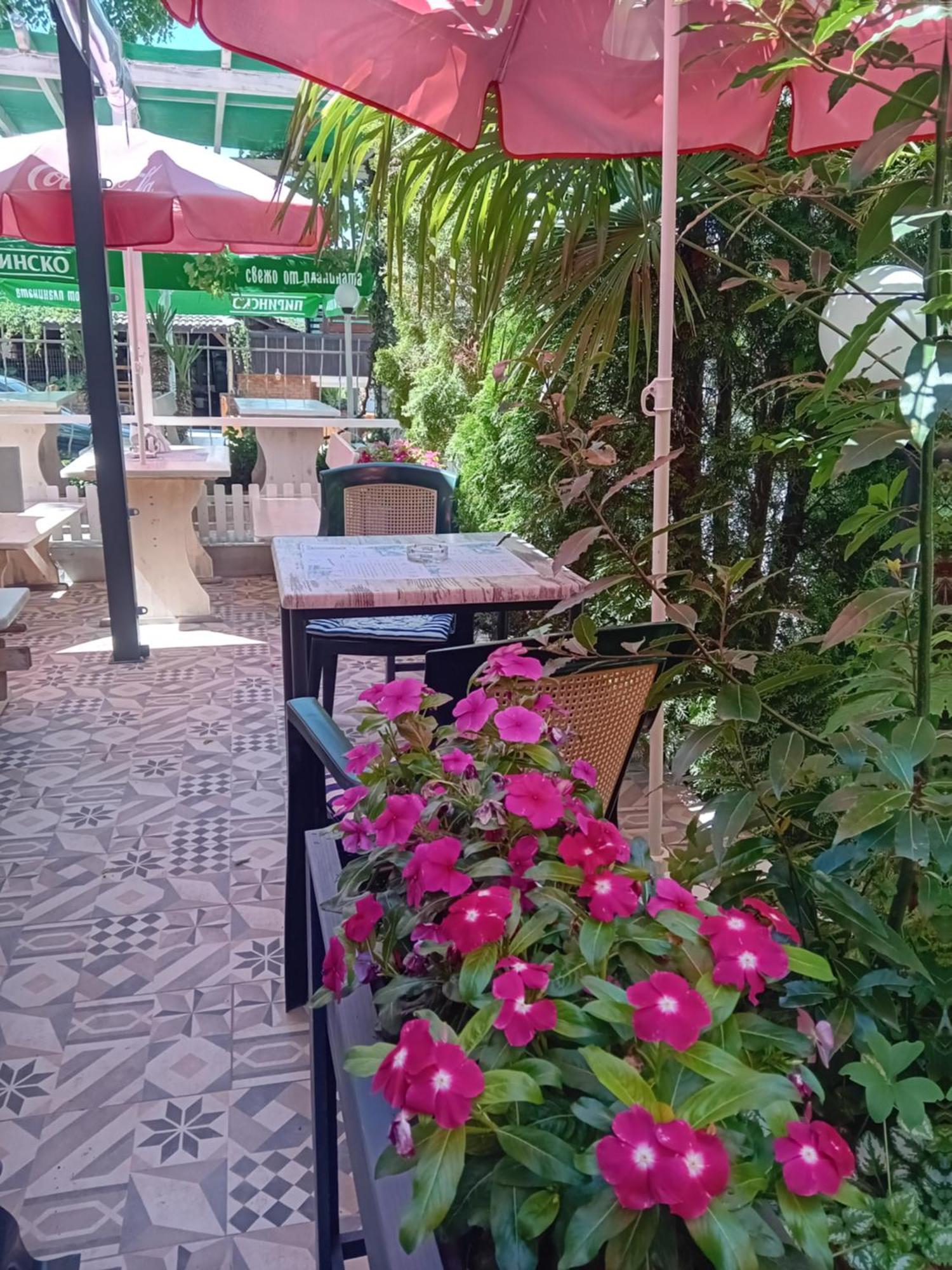 Guesthouse Oasis Kiten  Exterior photo